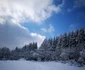 Fundătura Ponorulului iarna foto codrut adrian