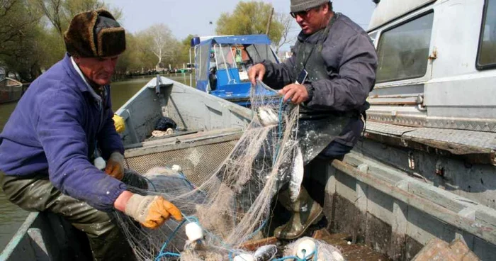 Pescari de scrumbie la Sfântu Gheorghe