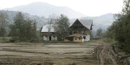 În comuna Agăș arborii sunt tăiați ilegal.