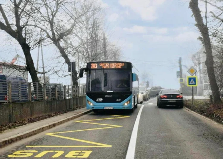 Linia 203. FOTO TPBI