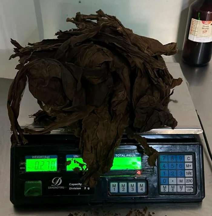 Inspectorii au confiscat 300 de kilograme de tutun