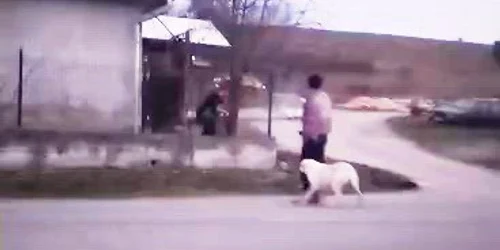 2026 03 06 caine bratca bihor omorat mp4 thumbnail png