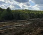 Autostrada Lugoj Deva, zona Holdea Margina Foto Daniel Guță ADEVĂRUL (36) jpg