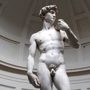 David de Michelangelo FOTO Shutterstock jpg