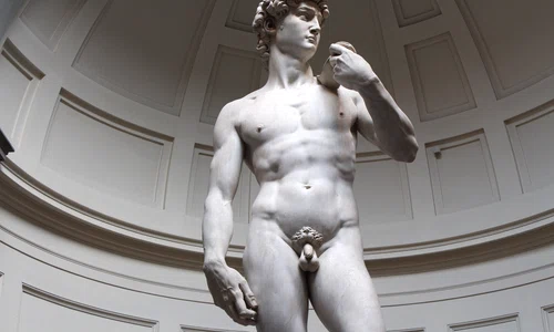 David de Michelangelo FOTO Shutterstock jpg