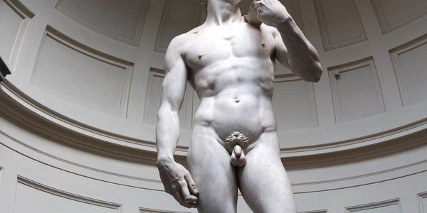 David de Michelangelo FOTO Shutterstock jpg