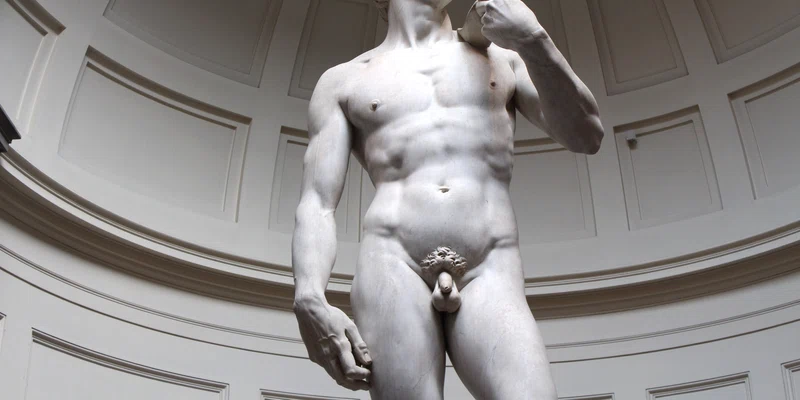David de Michelangelo FOTO Shutterstock jpg