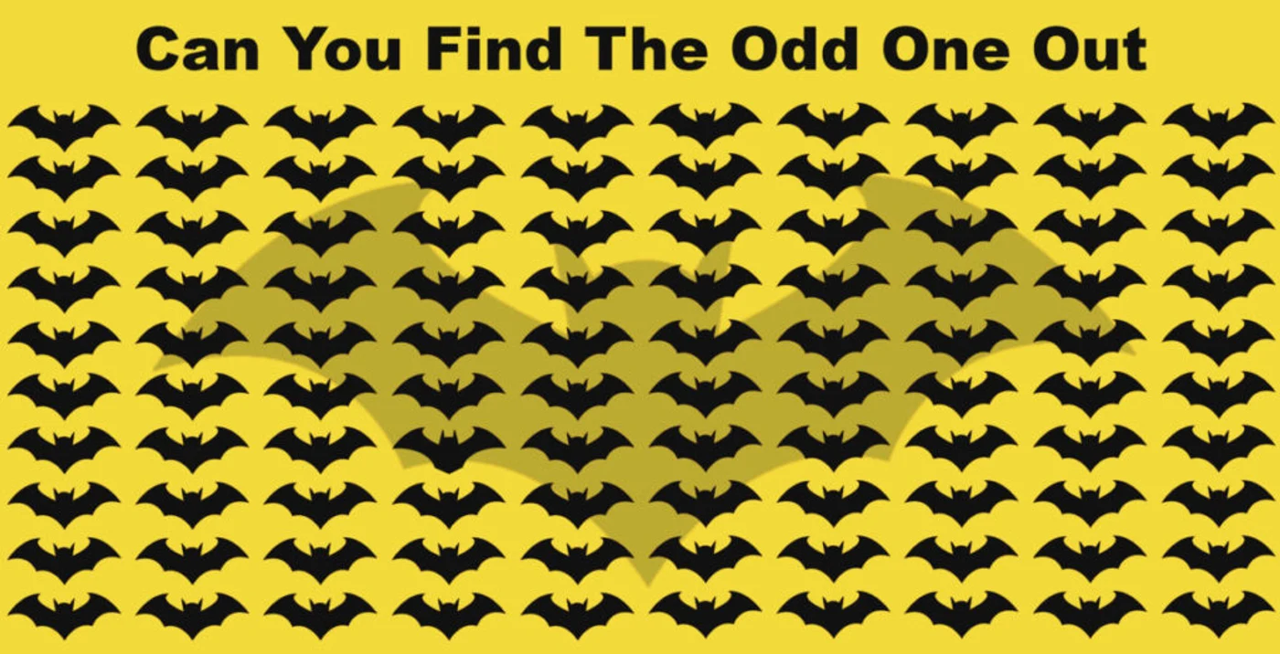 8 puzzle batman 1024x524 1 jpg jpeg