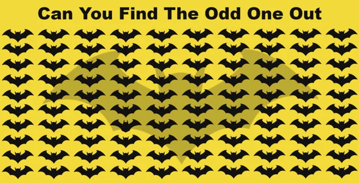 8 puzzle batman 1024x524 1 jpg jpeg