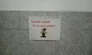 Cu ochii n 3,14 jpeg