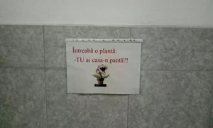 Cu ochii n 3,14 jpeg