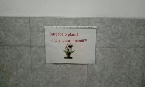 Cu ochii n 3,14 jpeg