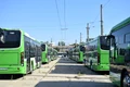 Autobuze STB FOTO PMB jpg