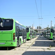 Autobuze STB FOTO PMB jpg