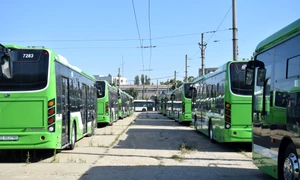 Autobuze STB FOTO PMB jpg