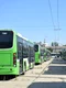 Autobuze STB FOTO PMB jpg