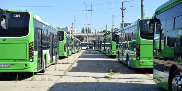 Autobuze STB FOTO PMB jpg