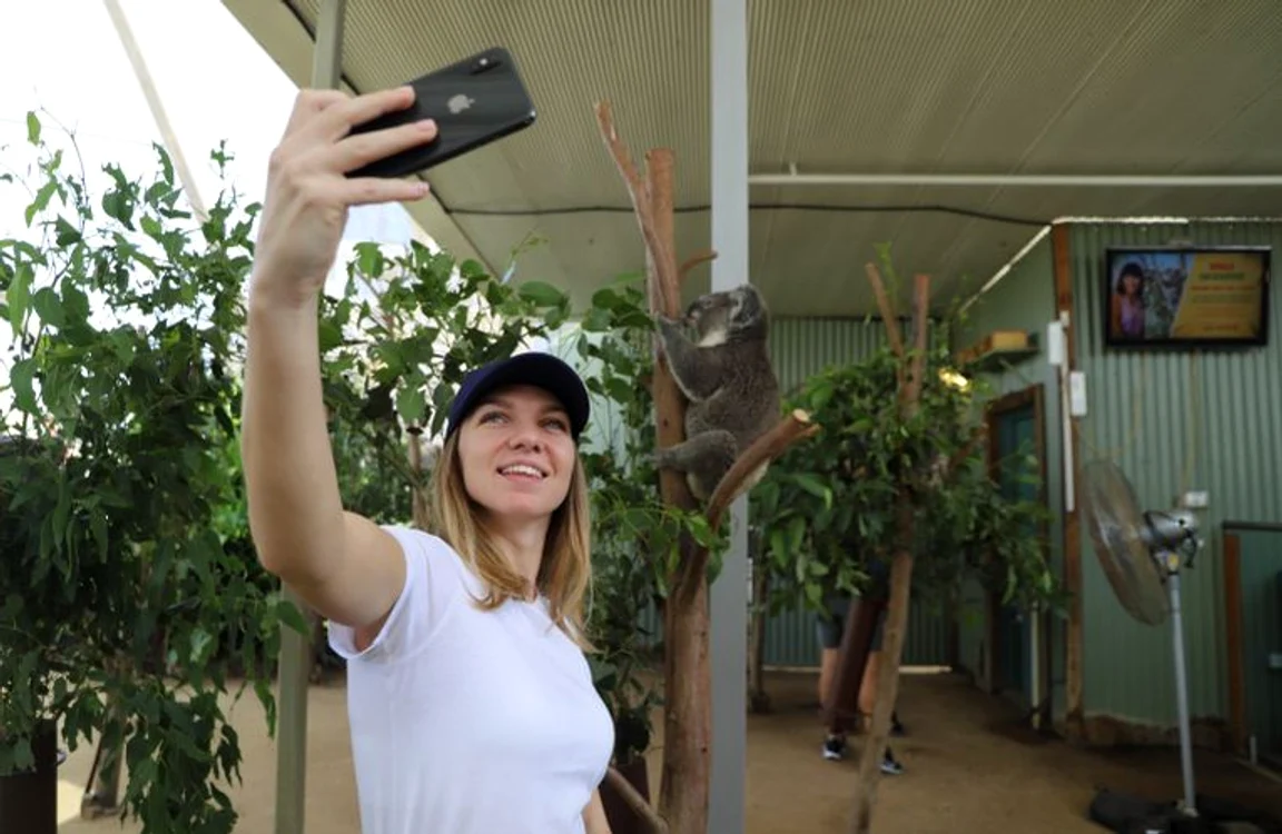 
    Simona Halep si-a facut un selfie cu un urs koalaFOTO: Twitter  