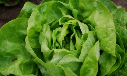 1 67109 original jpg jpeg