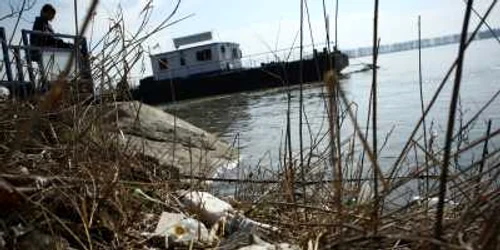 Dunărea a devenit pubela de gunoi a României     Foto: Corina Tătaru