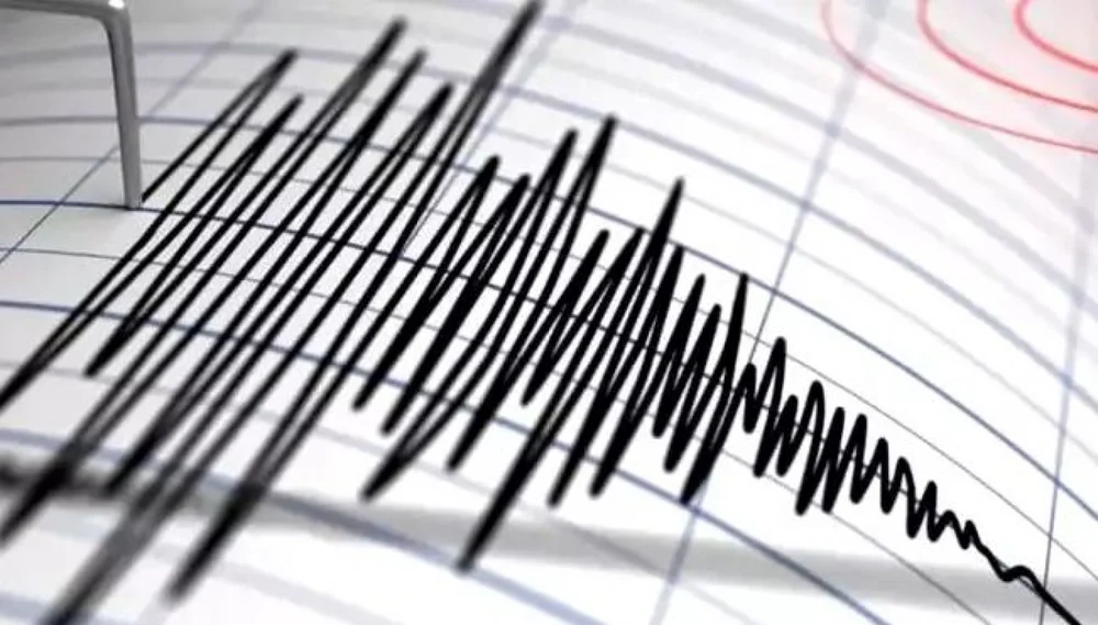 Cutremur în Vrancea. Seismologii avertizează că România are mai multe zone potențial periculoase din punct de vedere seismic