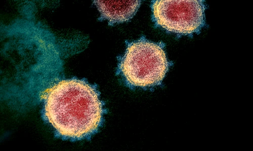 1 49534865371 839e217228 b jpg jpeg