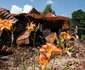 129 de zile de război între Ucraina - Rusia Kiev FOTO Gettyimages