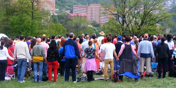 yoghini spirală 2013