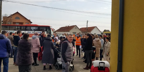 Primul grup de refugiati a ajuns in timis