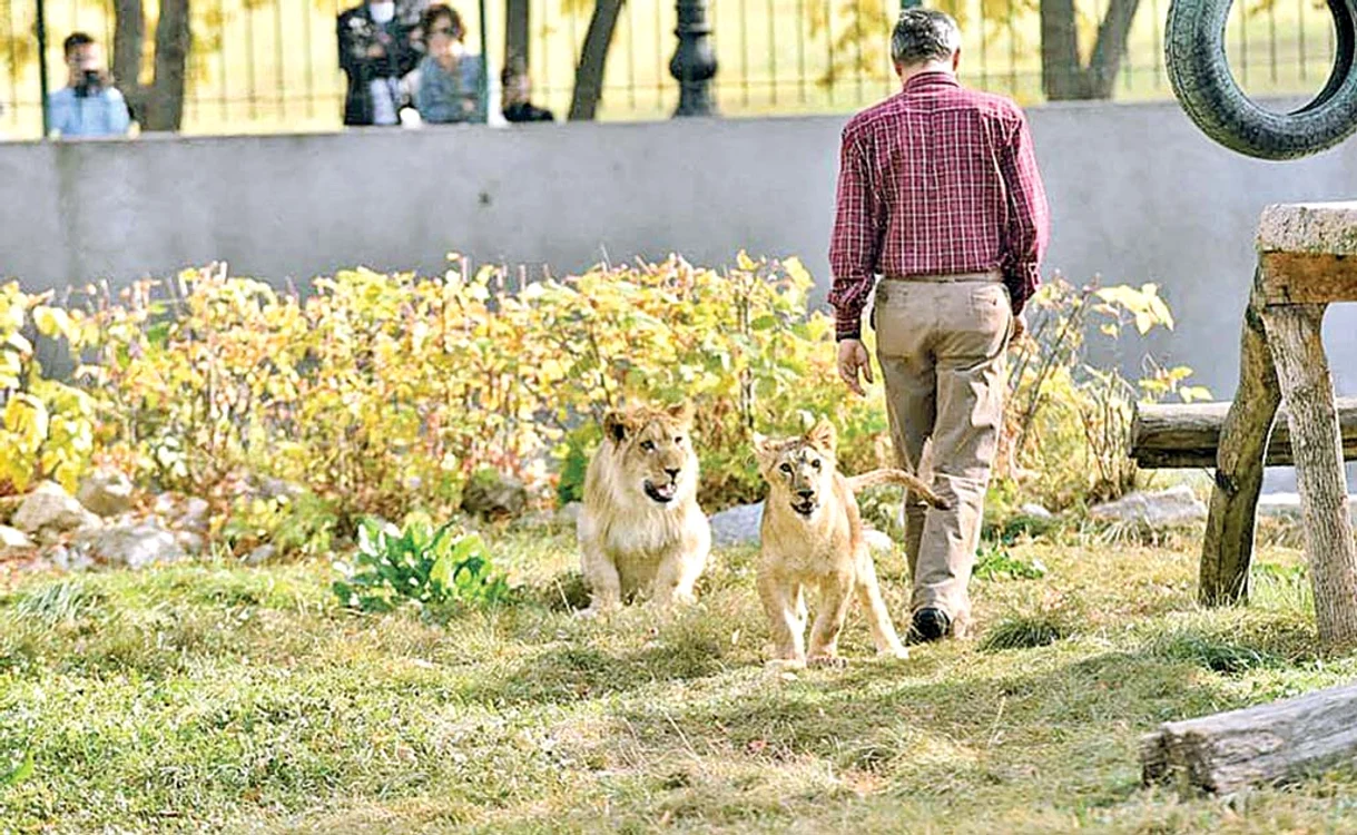 Leon şi Tina, noua lui parteneră