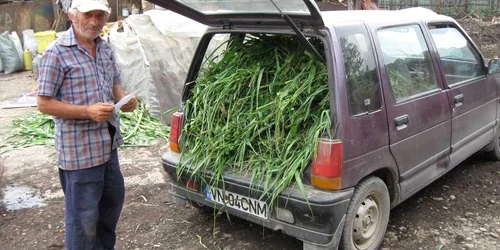 Constantin Crăciun, zis "Ţăranul sărac"