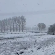 ninsoare in australia foto  captura video x