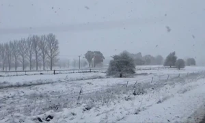 ninsoare in australia foto  captura video x