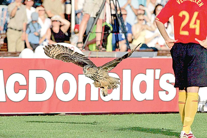 Fotbalistul a avut  nevoie de intervenţia  medicilor după ce  a fost muşcat de jder (Foto: Reuters)