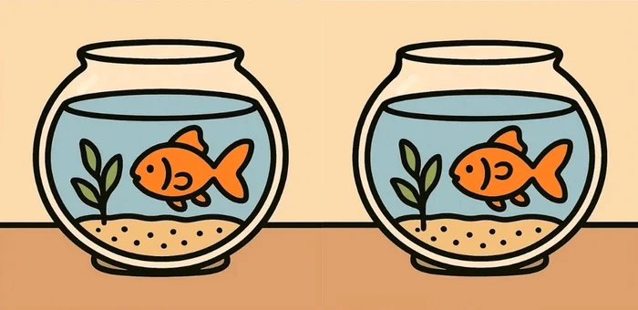 Testul trebuie rezolvat în doar zece secunde