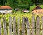 comuna bunila tinutul padurenilor foto daniel guta adevarul