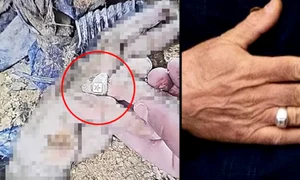 laritzani daxtylidi xeri jpg