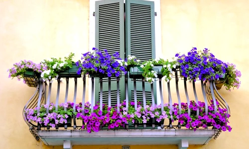 1 68171 original jpg jpeg