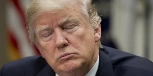 donald trump dormind foto psmag jpg