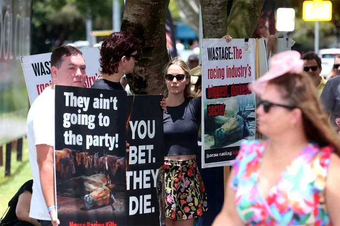 Zara și Mike Tindall în Australia, Profimedia (2) jpg