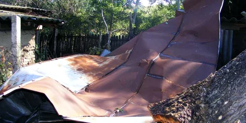 furtuna in mehedinti