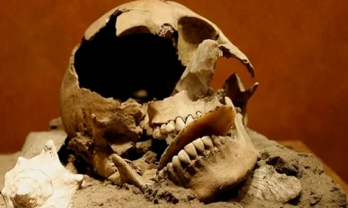 Un mormânt vechi de 1400 de ani a fost descoperit accidental în Mexic jpeg