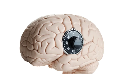 1 shutterstock 166302806 jpg jpeg