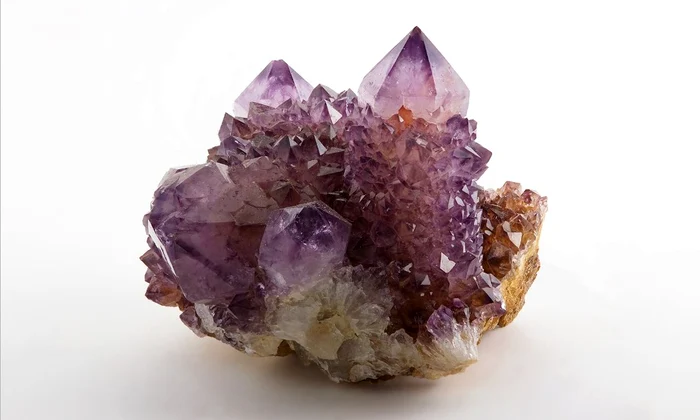 AFIȘ MINERALIA FEB jpg