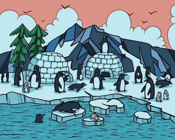 Foca trebuie găsită în doar 12 secunde