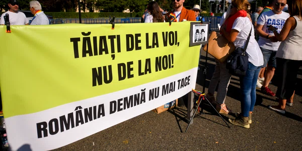 Protest în piața Victoriei față de măsurile de austeritate FOTO Mediafax 