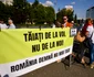 Protest în piața Victoriei față de măsurile de austeritate FOTO Mediafax 