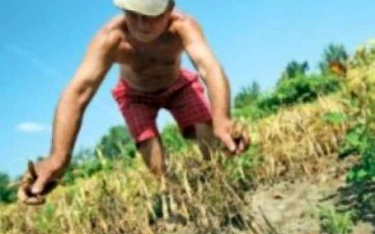 VIDEO Agricultorii anunţă proteste în stradă!