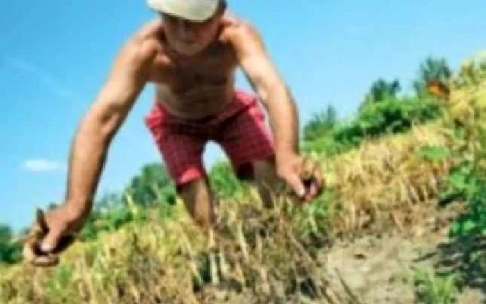 VIDEO Agricultorii anunţă proteste în stradă!