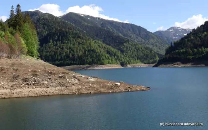 lacul gura apelor retezat foto daniel guta adevarul